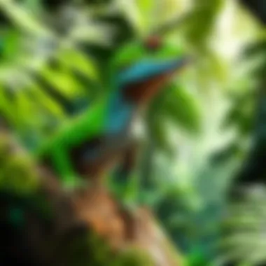 Colorful Gecko in Vibrant Rainforest Setting