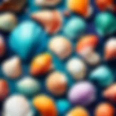 Vibrant Oceanic Palette Vibrant Oceanic Palette