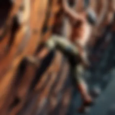 Flow and Fluidity in Climbing Movements