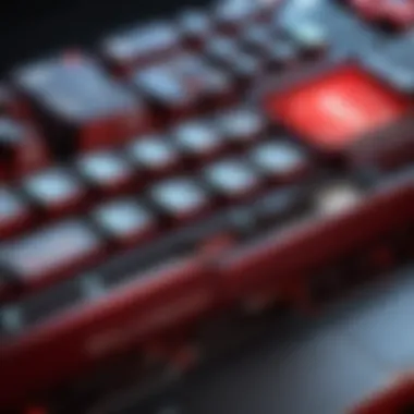 Illustration showcasing the Red Dragon Keyboard's tactile mechanical switches